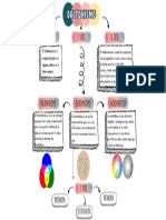 Daltonismo: defecto de visión de colores