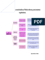 1.1.7 La Homeostasis Sus Caracteristicas. Medio Interno y Mecanismos Reguladores.