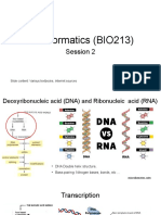 DNA, RNA Structure, Transcription, Translation, Protein Structure