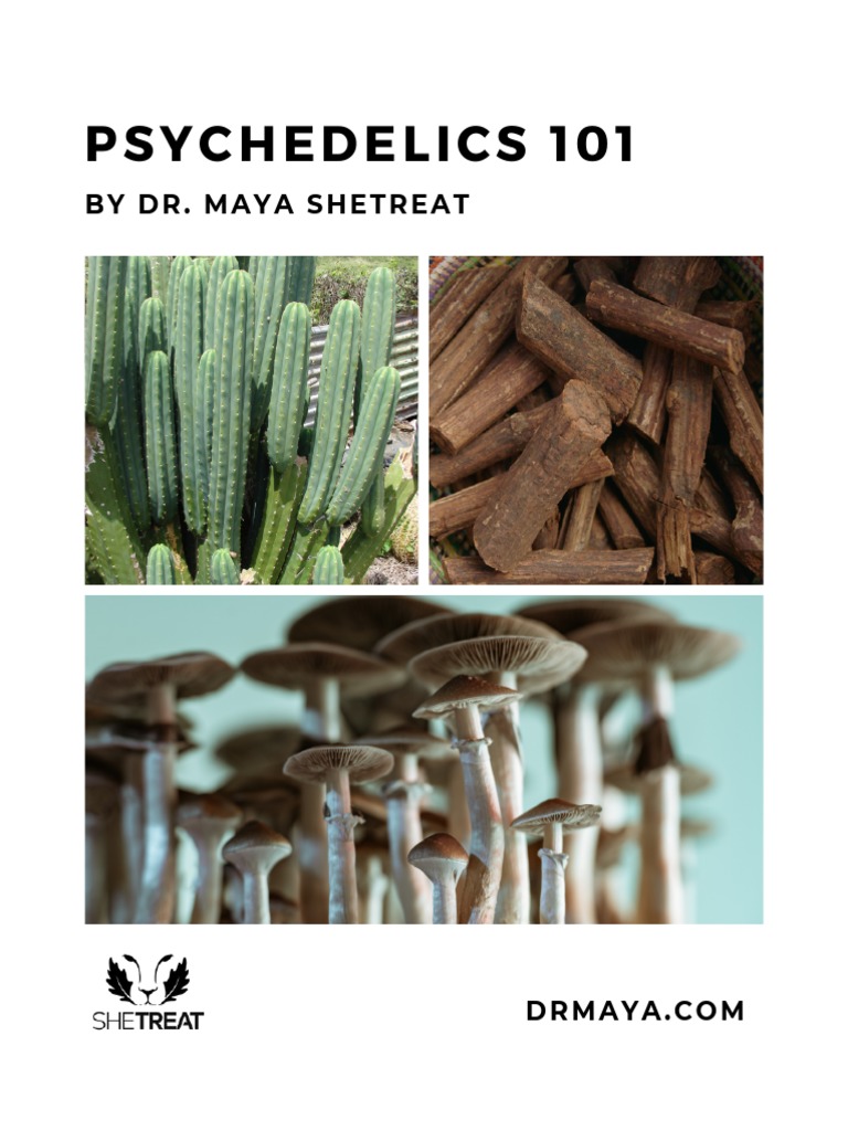 Psychedelics 101 Pdf