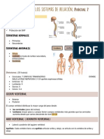 Anatomia