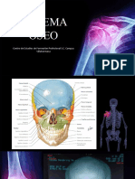 Generalidades de Sistema Oseo