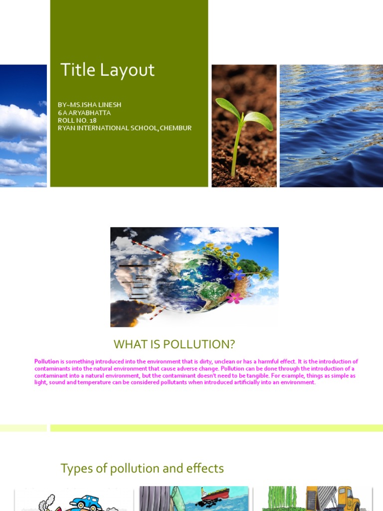 Understanding Pollution Types and Effects | PDF | Home & Garden ...