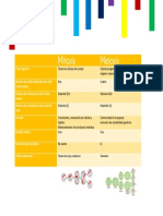 Mitosis y Meiosis