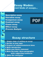 Essay Structute