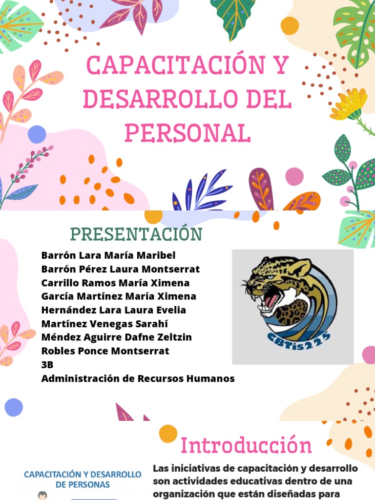 Capacitación y Desarrollo Del Personal | PDF | Gestión de recursos ...
