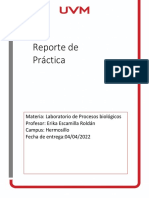 PRACTICA 6 y 7 DE LABORATORIO DE PROCESOS BIOLOGICOS