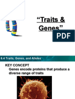 Traits Genes and Alleles