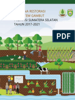 Rencana Restorasi Ekosistem Gambut RREG Sumatera Selatan Tahun 2017 - 2021