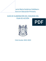 Guia para La Elaboracion Esquema Del Plan de Accion 2018