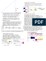 ATP structure and function in coupled reaction processes