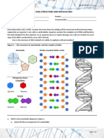 GGL DNA Replication