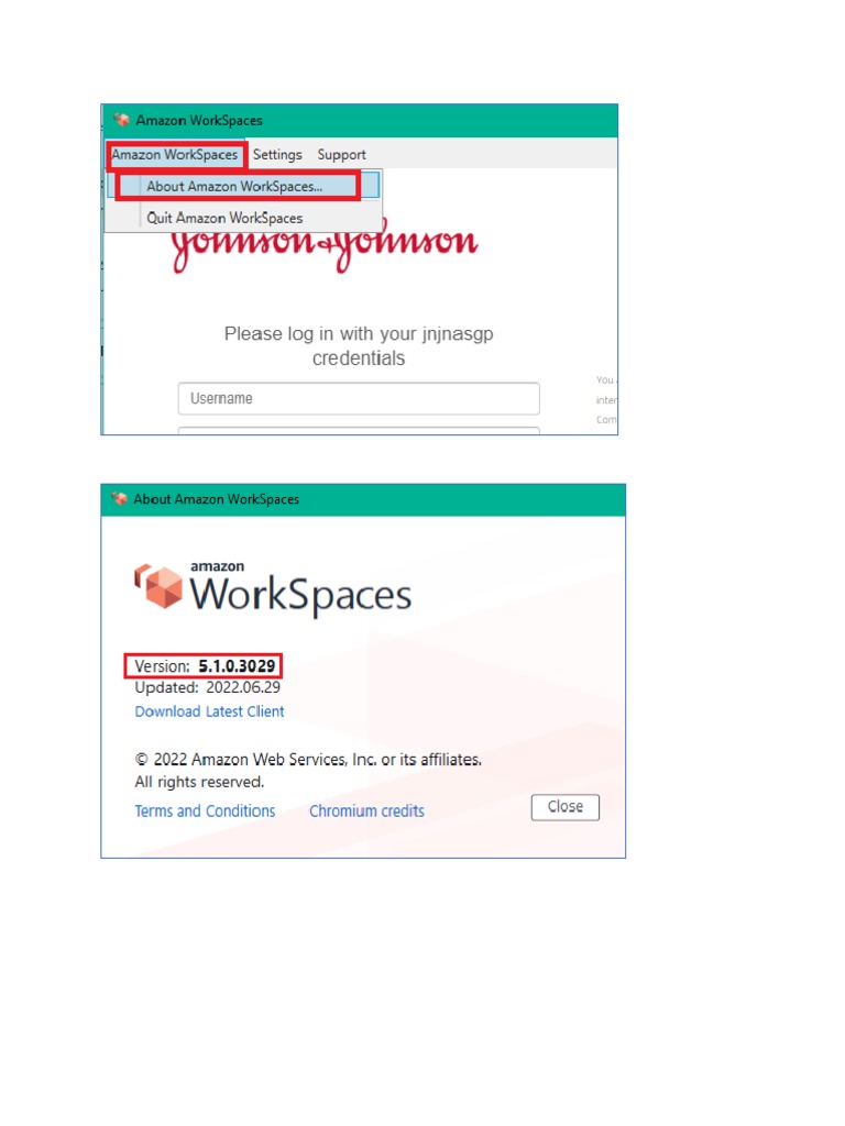 How To Check Aws Version | PDF