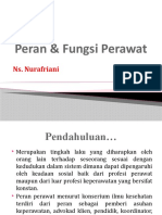 Peran & Fungsi Perawat 2016