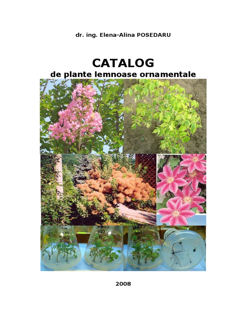 Sitemapcdatahttpsshudreferenzcomtuteur Plante Original