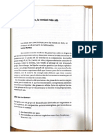 Grasas, La Verdad Mas Alla. Mariana Koppman