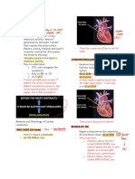ECG Anatomy and Physiology Guide