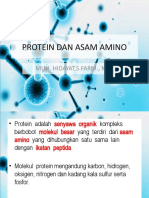 Protein Dan Asam Amino