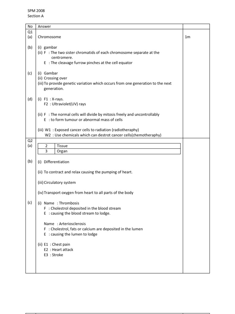 Skema Biologi Spm 2008 Pdf