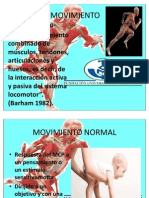 Mecanismo Postural