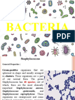 Bacteria