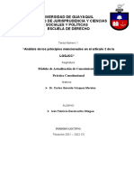 Análisis de Principios Constitucionales