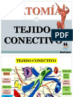 Tejido Conectivo