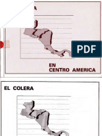 El cólera en Centroamérica 1991-1993