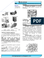 As organelas citoplasmáticas e suas funções