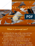 Parental-Care in Amphi