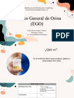 Examen General de Orina (EGO) : Universidad Autónoma de Coahuila Facultad de Medicina U.T