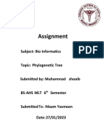 Shoaib Bioinformatics Assignment 02