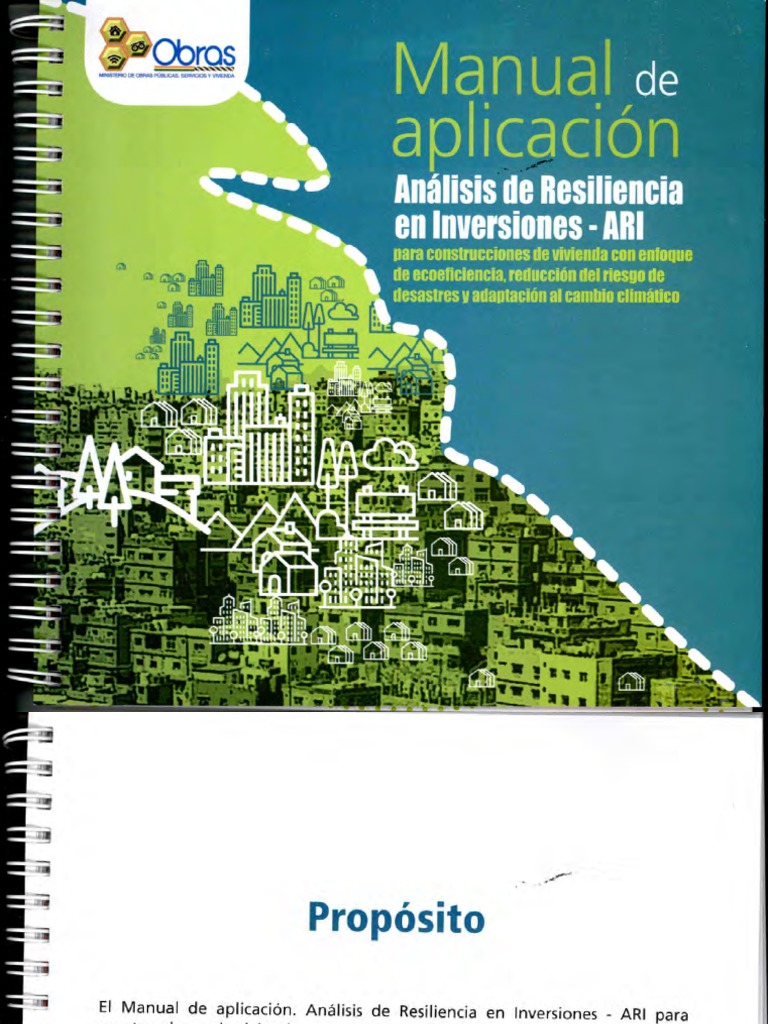 Manual Ari | PDF