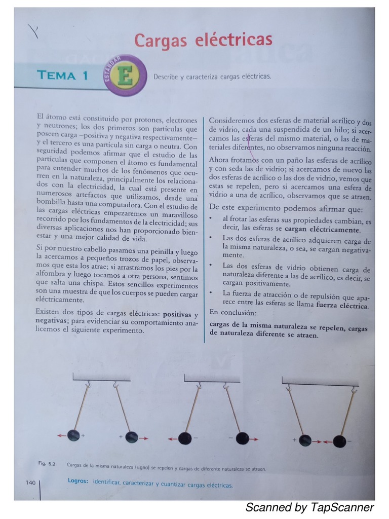 Cargas Electricas PDF