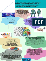 Divulgación Sobre Los Procesos Neuronales Que Intervienen e Impactan en Los Métodos de Enseñanza y Aprendizaje.