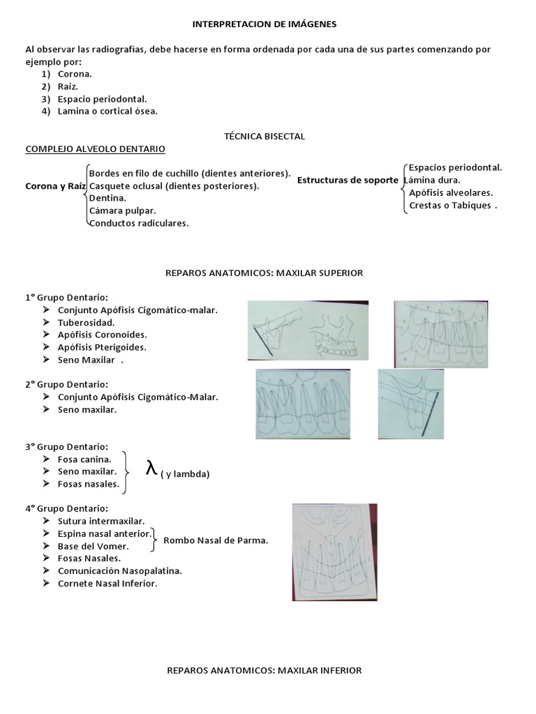 interpretacion-de-imagenes-panoramica-pdf-sistema-esquel-tico