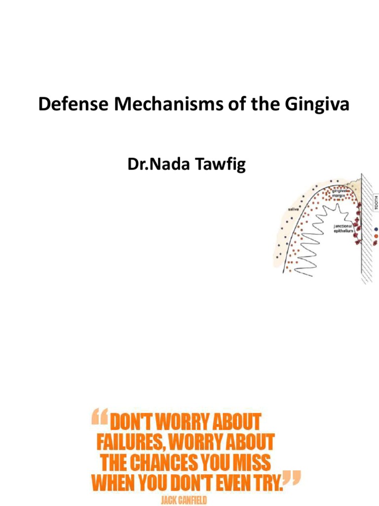 4Defense Mechanisms of The Gingiva2 PDF Epithelium Saliva