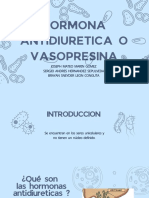 Hormona Antidiuretica o Vasopresina