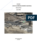 Informe Caracterización Mediana Minería (Junio 2016) (1)