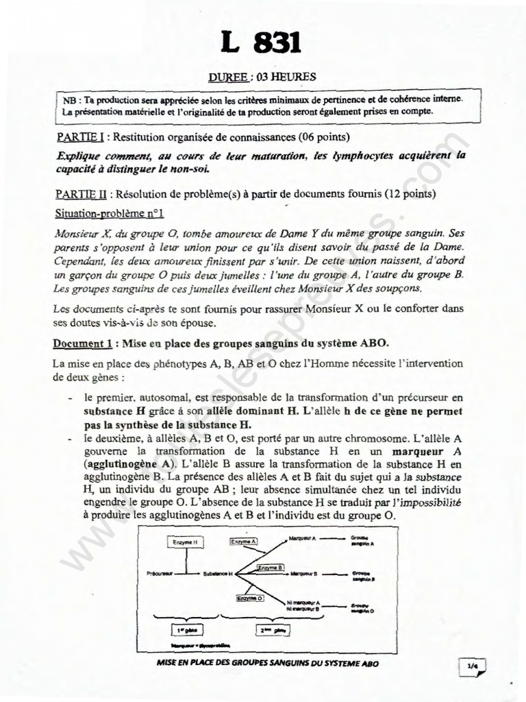 Corrigé Bac SVT 2021 Série D | PDF | Lymphocyte T | Hypothalamus