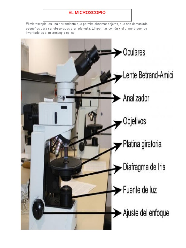 El Microscopio PDF