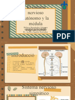 Presentación 3. Sistema Nervioso Autónomo y Médula Suprarrenal