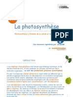 Diaporama La Photosynthese 2