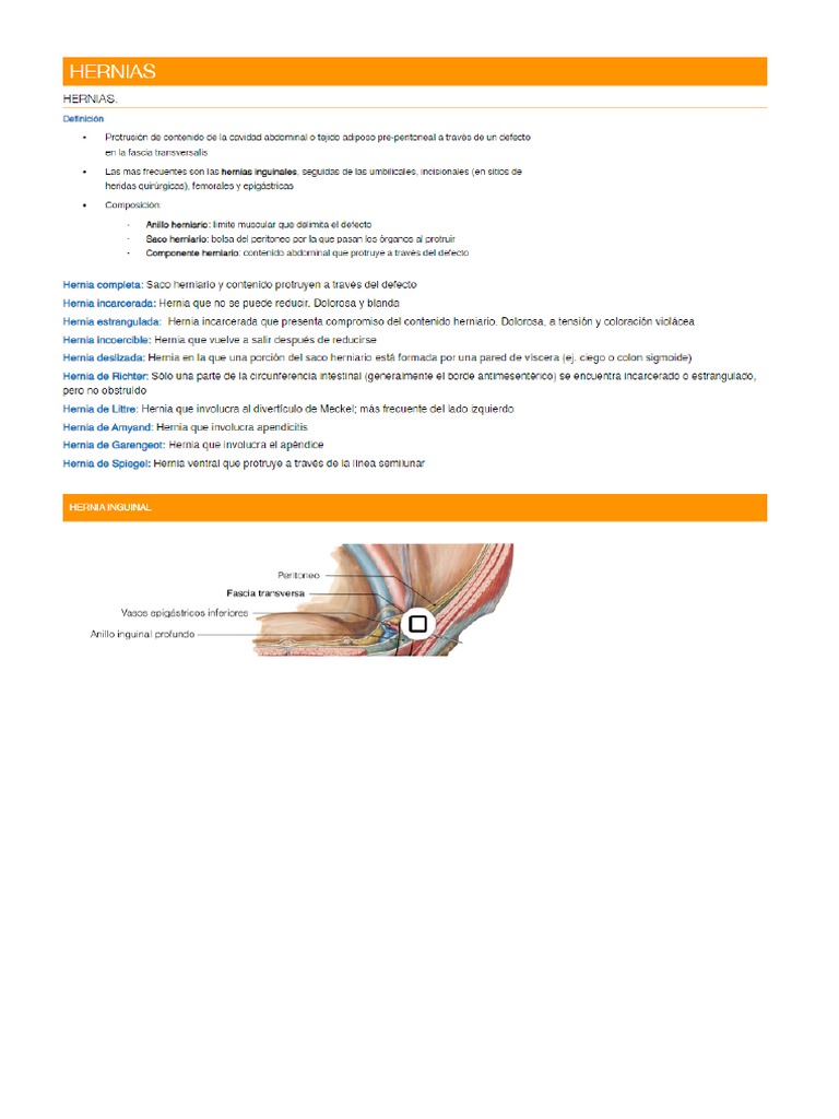 Hernias | PDF