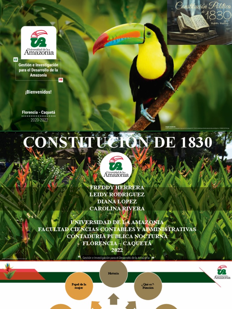 Constitución 1830 PDF Democracia Ideologías políticas