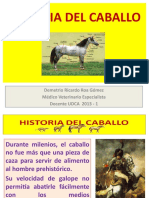 Historia del caballo evolución