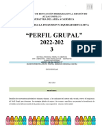 Perfil Grupal 2020-2021