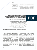 La Culebrilla Ciega de Las Macetas Introducida en El Archipiélago Canario