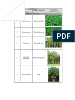 Lista de Especies - Projeto Paisagismo