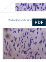 Microbiologie Semestrul 1: Teodora Niculescu 2020-2021